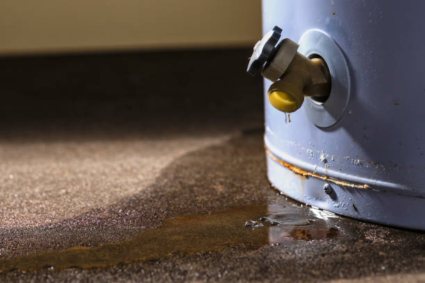 Best Professional water damage repair  in Mount Gilead, OH