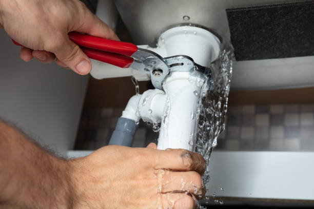 Best Carpet water damage restoration  in Mount Gilead, OH
