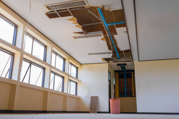 Reliable Mount Gilead, OH Water damage restoration Solutions