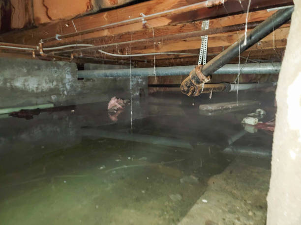 Best Emergency water extraction  in Mount Gilead, OH