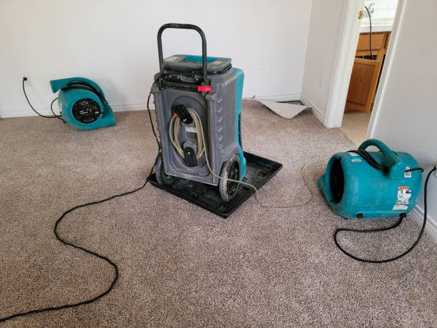 Water damage restoration insurance claims in Mount Gilead, OH