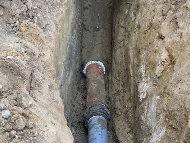 Best 24/7 water damage repair  in Mount Gilead, OH