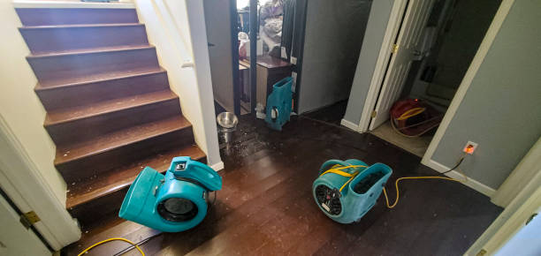 Best Mold removal after water damage  in Mount Gilead, OH