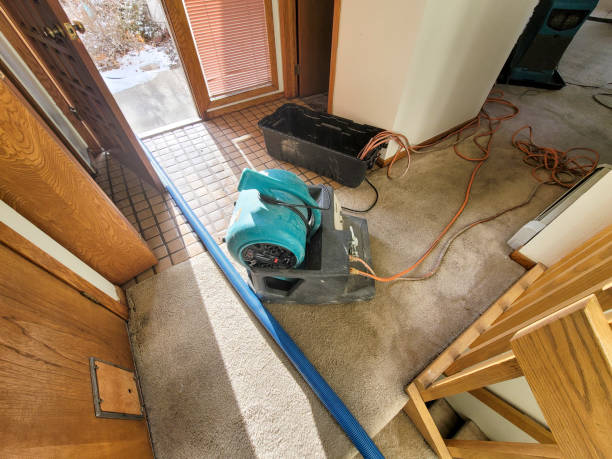  Mount Gilead, OH Water damage restoration Pros