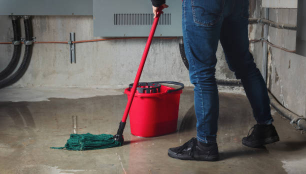 Best 24-hour water damage restoration  in Mount Gilead, OH