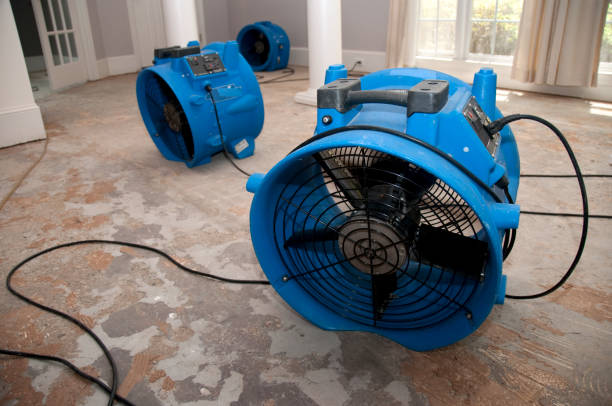 Best Sewage cleanup and water damage restoration  in Mount Gilead, OH