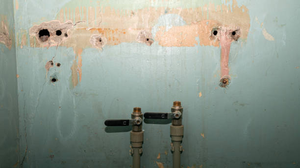 Best Water damage restoration experts  in Mount Gilead, OH