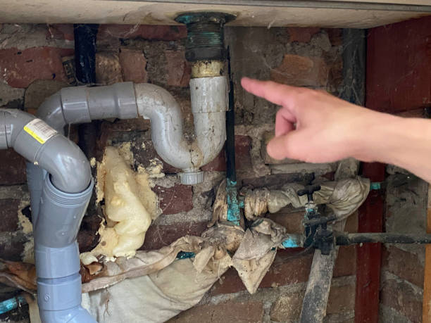 Best Water damage restoration near me  in Mount Gilead, OH