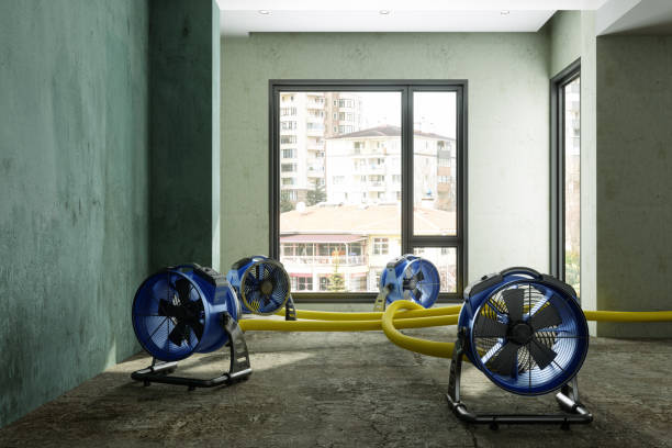 Best Ceiling water damage repair  in Mount Gilead, OH