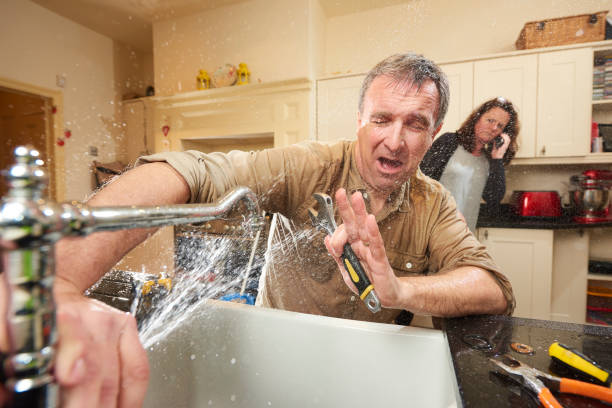 Best Basement water damage restoration  in Mount Gilead, OH